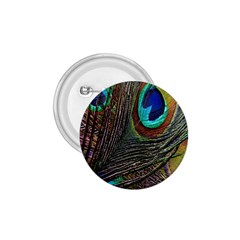 Peacock Feathers 1.75  Buttons