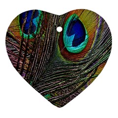 Peacock Feathers Ornament (Heart)