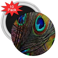 Peacock Feathers 3  Magnets (10 pack) 