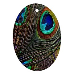 Peacock Feathers Oval Ornament (Two Sides)