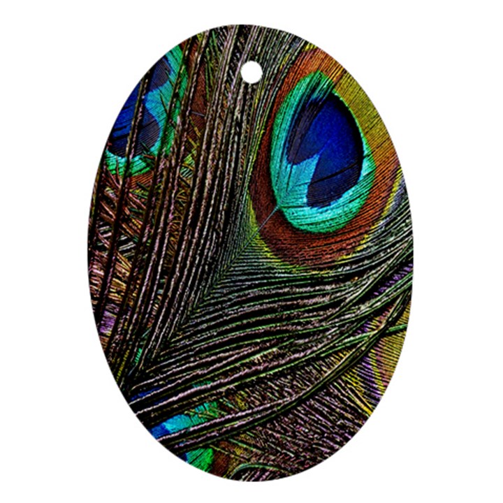 Peacock Feathers Oval Ornament (Two Sides)