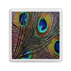 Peacock Feathers Memory Card Reader (Square) 