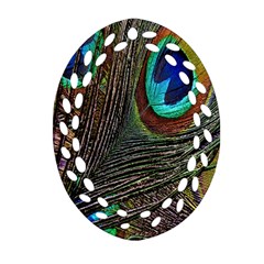 Peacock Feathers Ornament (Oval Filigree)