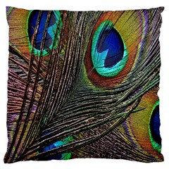 Peacock Feathers Large Cushion Case (two Sides) by Simbadda