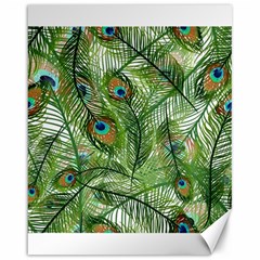 Peacock Feathers Pattern Canvas 16  X 20  