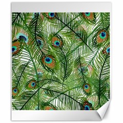 Peacock Feathers Pattern Canvas 20  X 24  