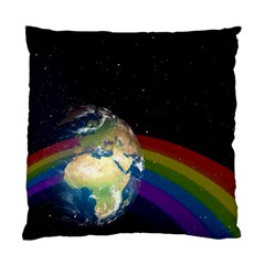 Earth Standard Cushion Case (one Side) by boho