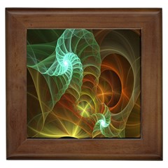 Art Shell Spirals Texture Framed Tiles by Simbadda