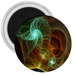 Art Shell Spirals Texture 3  Magnets by Simbadda