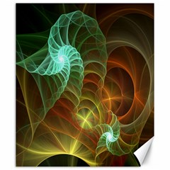 Art Shell Spirals Texture Canvas 20  X 24   by Simbadda