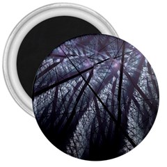 Fractal Art Picture Definition  Fractured Fractal Texture 3  Magnets