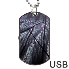 Fractal Art Picture Definition  Fractured Fractal Texture Dog Tag Usb Flash (two Sides)