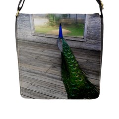 Peacock Flap Messenger Bag (l)  by Mandielei