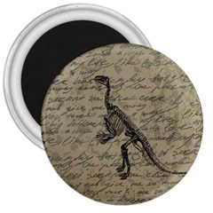 Dinosaur Skeleton 3  Magnets