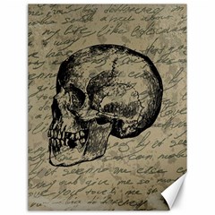 Skull Canvas 12  X 16  