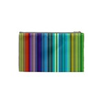 Color Stripes Cosmetic Bag (Small)  Back