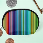 Color Stripes Accessory Pouches (Medium)  Back