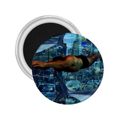 Urban swimmers   2.25  Magnets