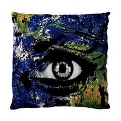 Mother Earth  Standard Cushion Case (two Sides) by Valentinaart