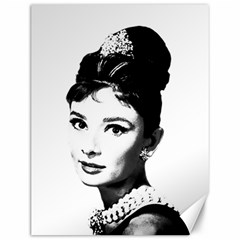 Audrey Hepburn Canvas 12  X 16  