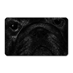 Black Bulldog Magnet (rectangular)