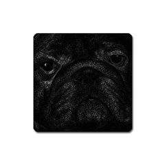 Black Bulldog Square Magnet by Valentinaart