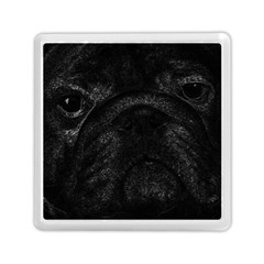 Black Bulldog Memory Card Reader (square) 