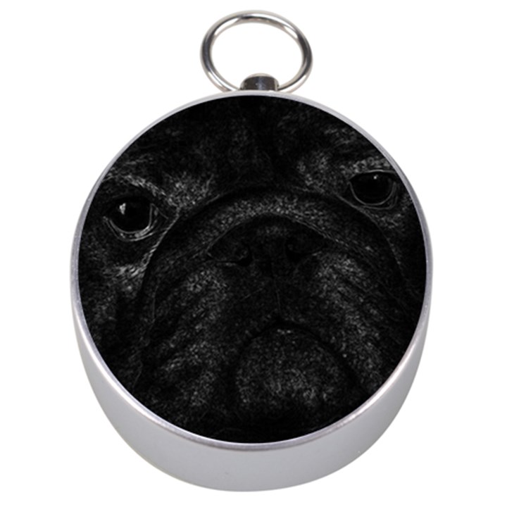 Black bulldog Silver Compasses