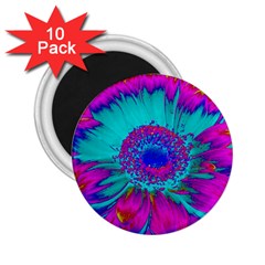 Retro Colorful Decoration Texture 2 25  Magnets (10 Pack) 