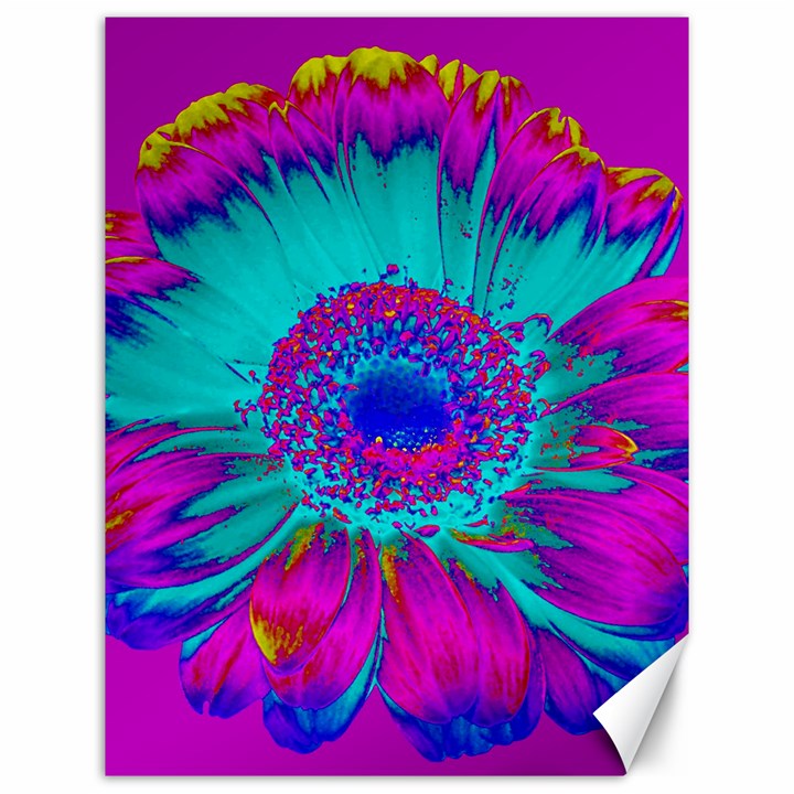 Retro Colorful Decoration Texture Canvas 12  x 16  