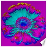 Retro Colorful Decoration Texture Canvas 20  x 20   19 x19.27  Canvas - 1