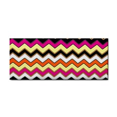 Colorful Chevron Pattern Stripes Pattern Cosmetic Storage Cases