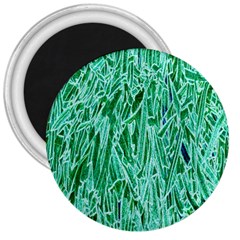 Green Background Pattern 3  Magnets