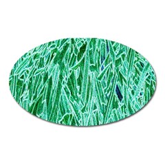 Green Background Pattern Oval Magnet