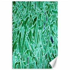 Green Background Pattern Canvas 24  X 36 