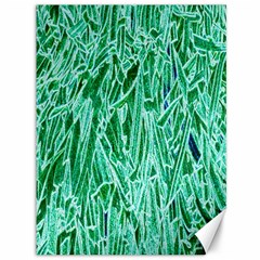 Green Background Pattern Canvas 36  X 48  