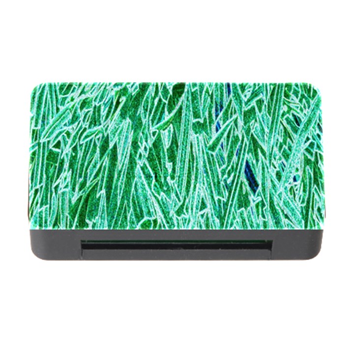 Green Background Pattern Memory Card Reader with CF