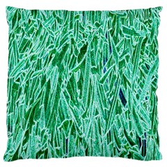 Green Background Pattern Large Flano Cushion Case (one Side)