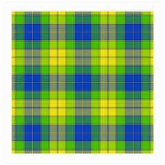 Spring Plaid Yellow Medium Glasses Cloth (2-side) by Simbadda