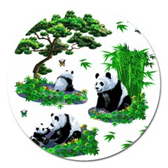 Cute Panda Cartoon Magnet 5  (round) by Simbadda