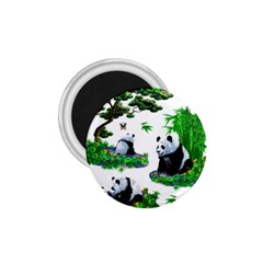 Cute Panda Cartoon 1 75  Magnets by Simbadda