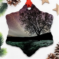 Sky Landscape Nature Clouds Ornament (snowflake)