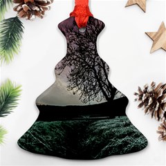 Sky Landscape Nature Clouds Christmas Tree Ornament (two Sides)