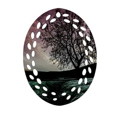 Sky Landscape Nature Clouds Oval Filigree Ornament (two Sides)