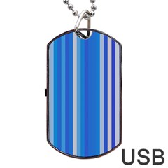 Color Stripes Blue White Pattern Dog Tag Usb Flash (one Side)