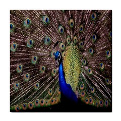 Multi Colored Peacock Tile Coasters