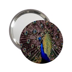 Multi Colored Peacock 2 25  Handbag Mirrors