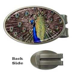 Multi Colored Peacock Money Clips (oval)  by Simbadda