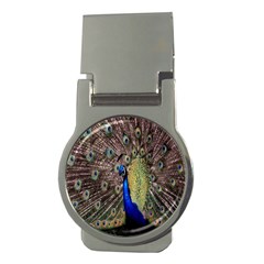 Multi Colored Peacock Money Clips (round)  by Simbadda