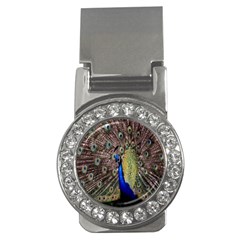 Multi Colored Peacock Money Clips (cz)  by Simbadda